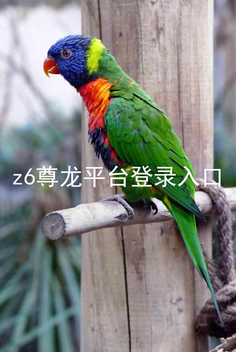 z6尊龙平台登录入口