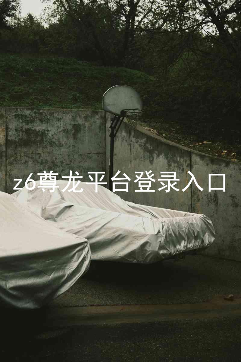 z6尊龙平台登录入口
