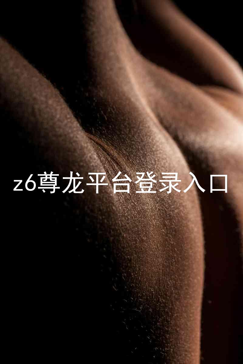 z6尊龙平台登录入口